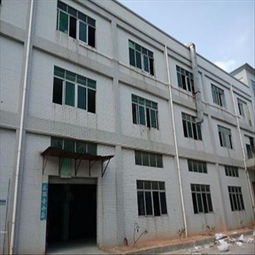 深圳市龙岗区厂房安全检测鉴定公司