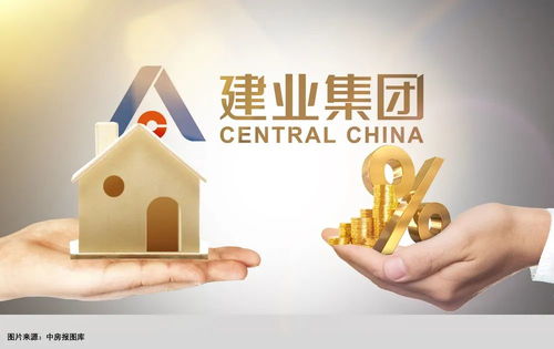 国资再度入场 胡葆森易手建业地产29 股权丨公司