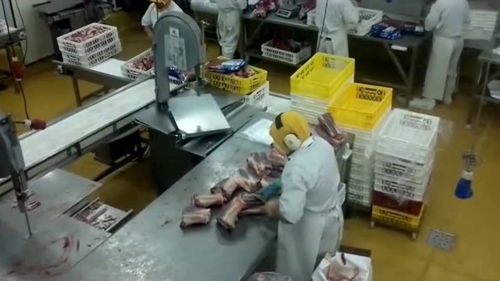 一起来看看国外制作肉食的工厂,切肉打包上架一气呵成真厉害啊